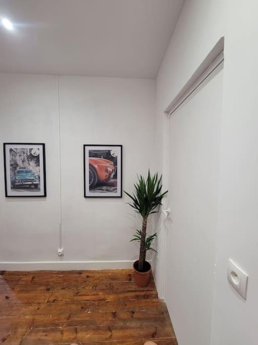 Appartement De Charme Avec Tomettes Et Parquet Graulhet Exterior photo
